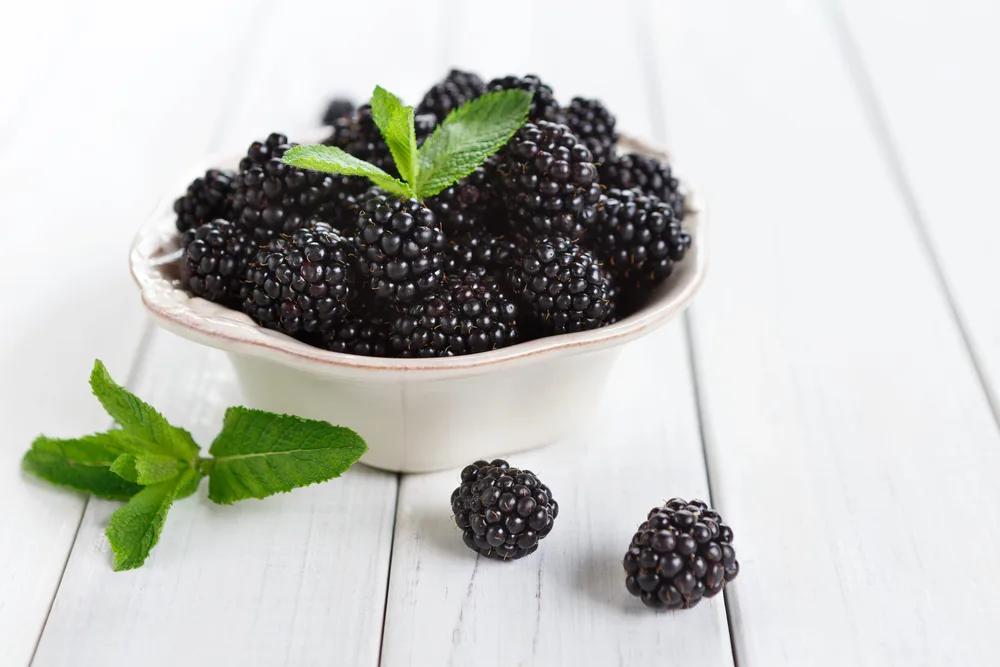 bowl of Blackberries