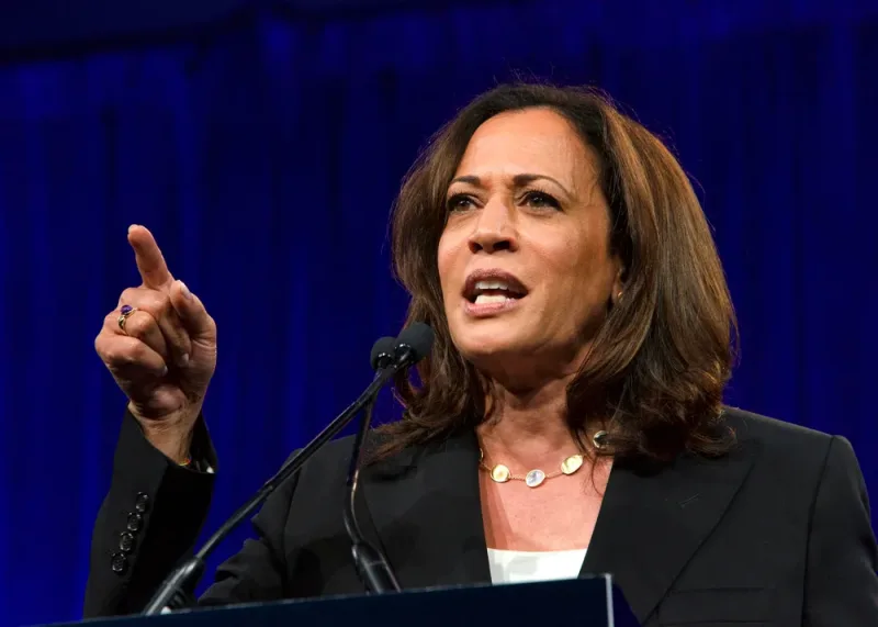 Kamala Harris Leads 2028 Democratic Primary Survey