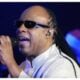 Singer and pianist Stevie Wonder