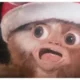 Gremlins