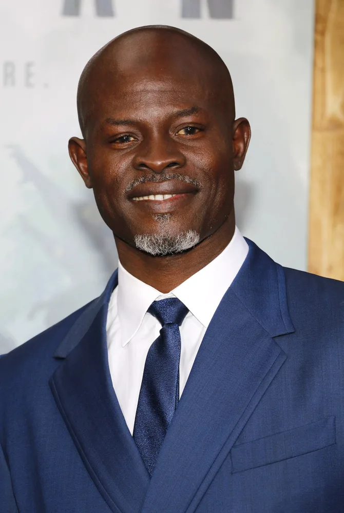 Djimon Hounsou