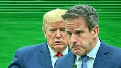 Adam Kinzinger reacting to Trump's funky smell - via GrokAI
