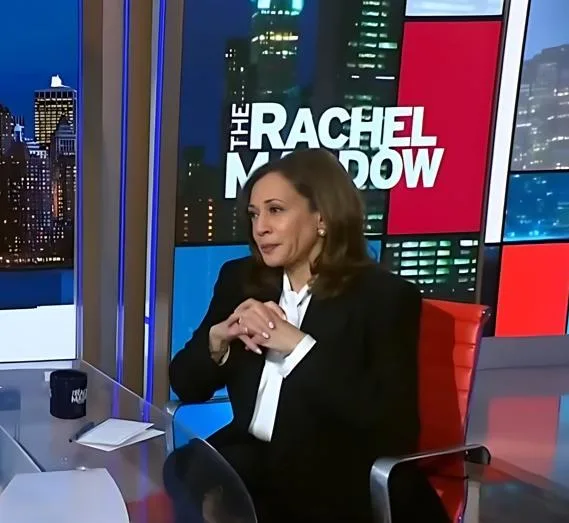 Kamala Harris on Rachel Maddow - screenshot