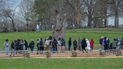 The More Than a Fraction sponsored Merry Tree Memorial at Virginia Tech