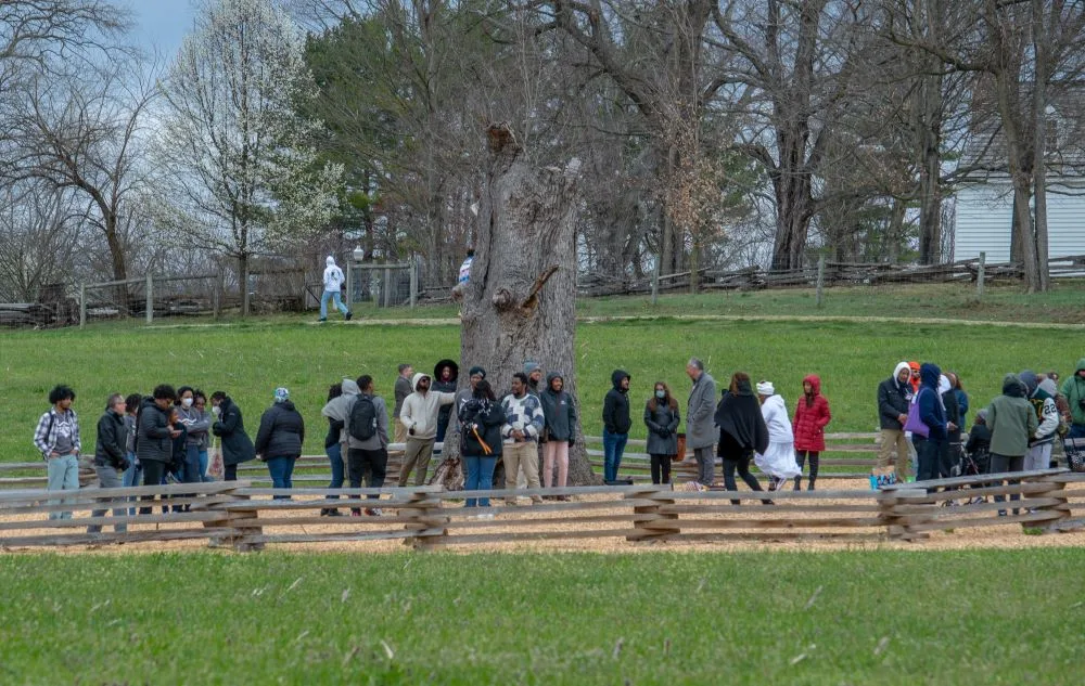 The More Than a Fraction sponsored Merry Tree Memorial at Virginia Tech