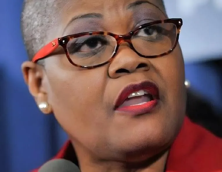 Melanie Campbell CEO of the National Coalition of Black Civic Participation