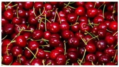 How Eating Cherries Regularly Can Impact Blood Sugar and Inflammation