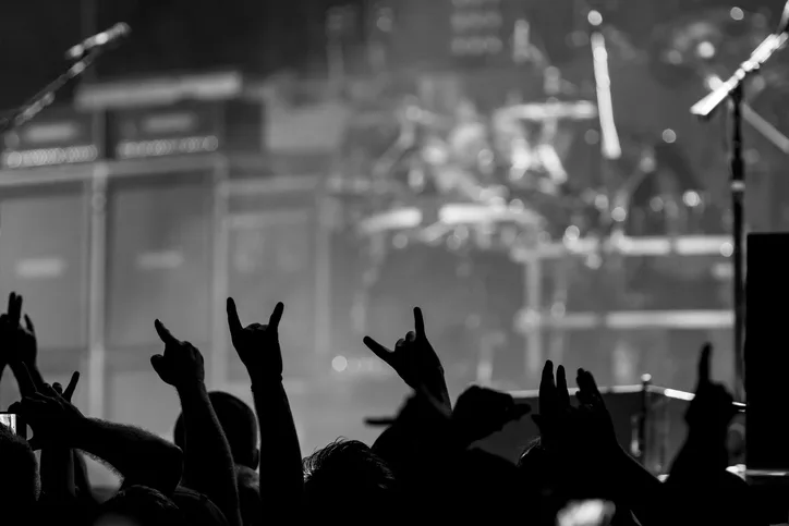 Fans rock out/rock concert