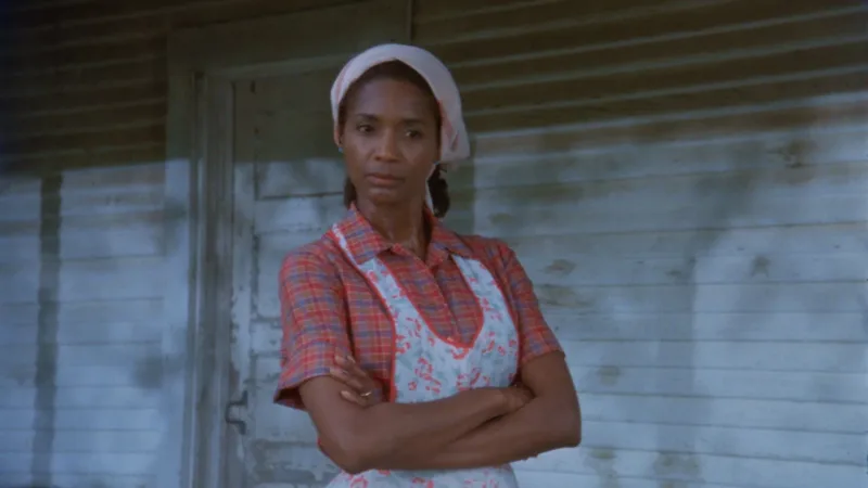 Margaret Avery wearing a plaid shirt and apron stands with folded arms in front of a wooden house in a scene from Riverbend (1989).