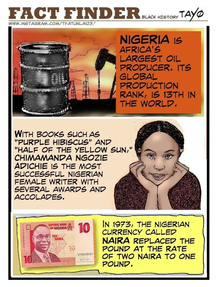 Nigerian Fact Finder - by TAYO