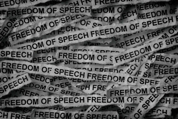 Strips of newspaper with the words Freedom of speech typed on them