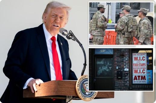 Trump Military WIC Food Stamps