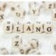 Slang word written on wood block. stock photo