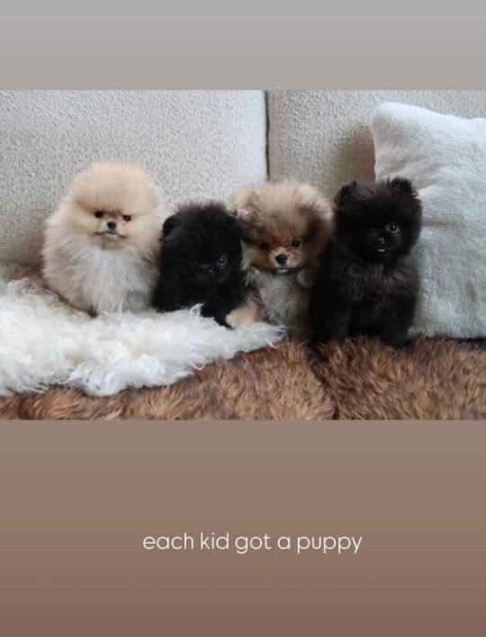 Kim Kardashian gives her children new pets