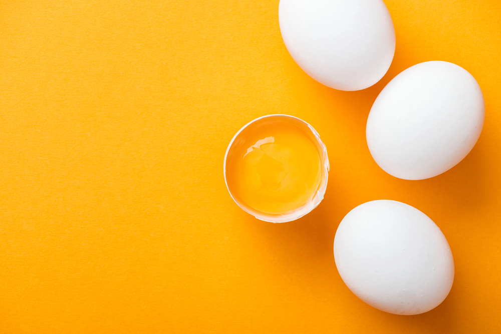 EGGS ON YELLOW BACKGROUND