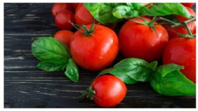 Tomatoes on vine
