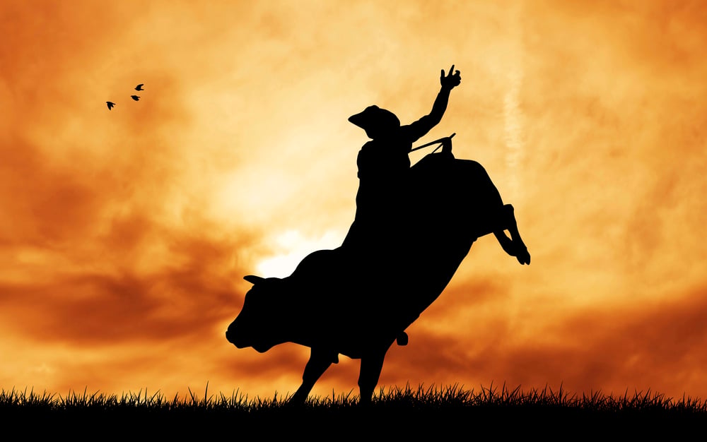 cowboy/rodeo Stock Photos