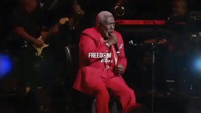 Freedom Vibes (Ojays) - screenshot1