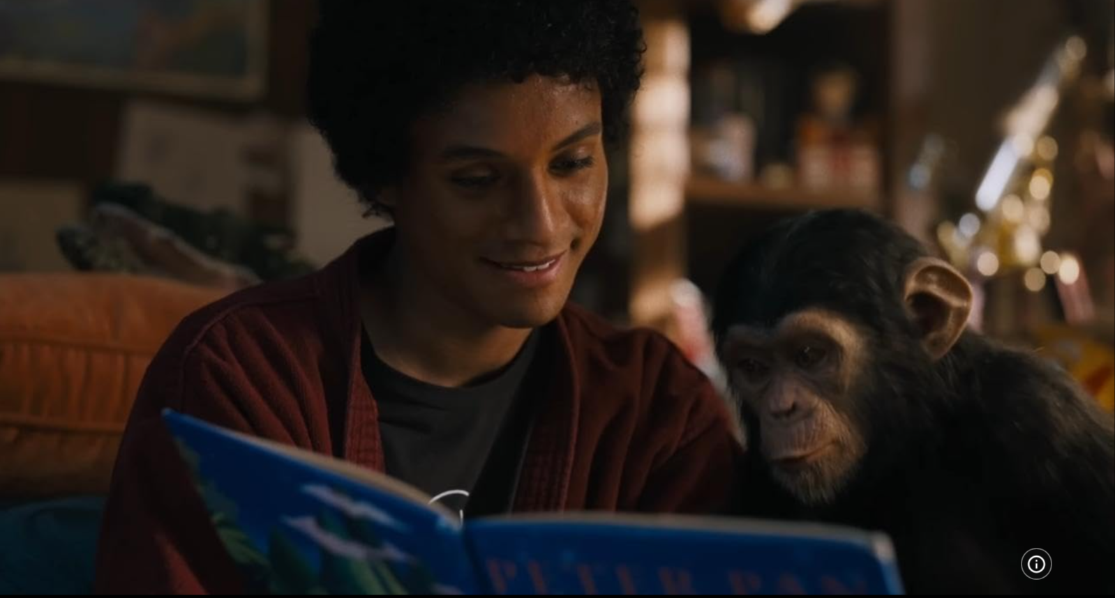 'Michael Jackson' (Jafaar Jackson) with pet chimp 'Bubbles' in 