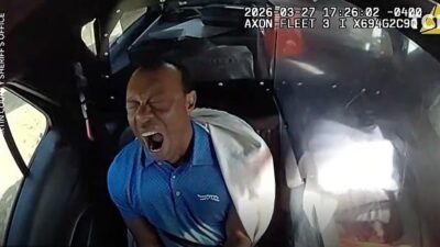 Tiger Woods can be seen yawning in police cruiser during his ride to a police cell - via Martin County Sheriff's Office