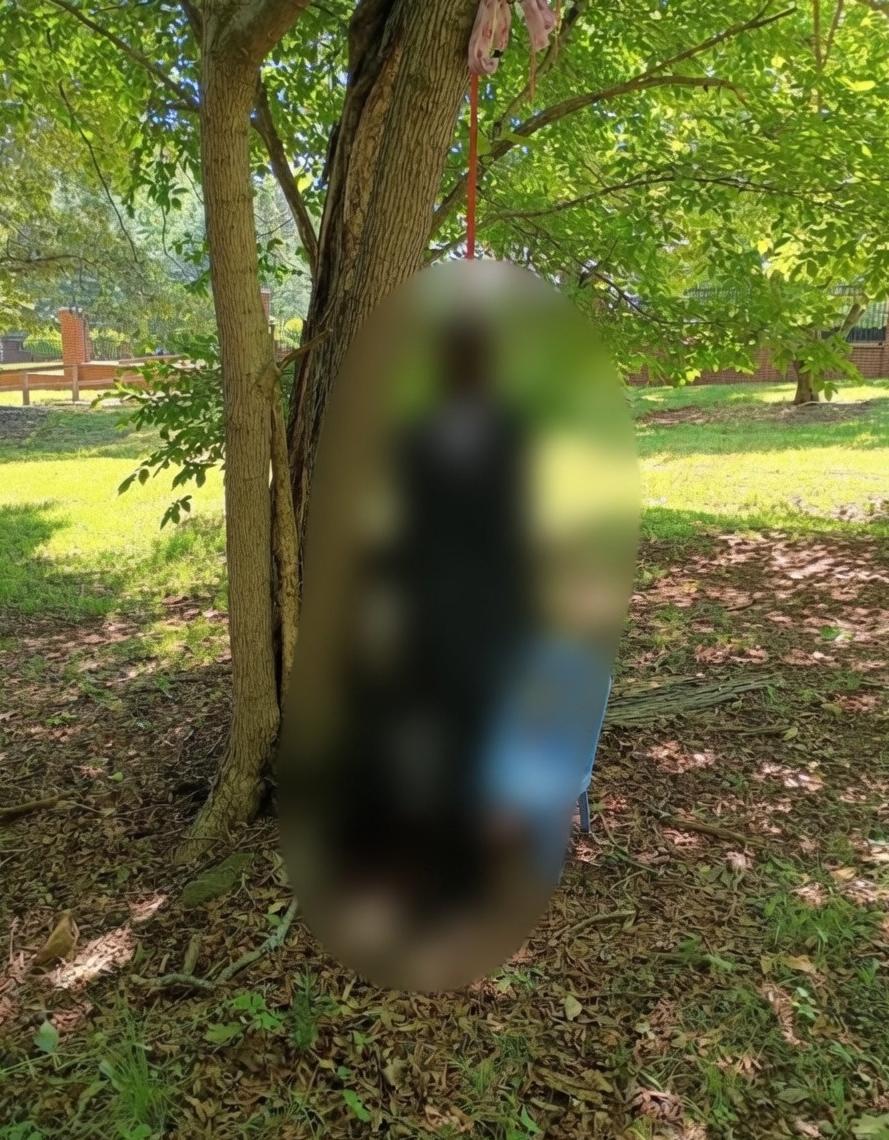 16-Year-Old White Girl Found Hanging from a Tree