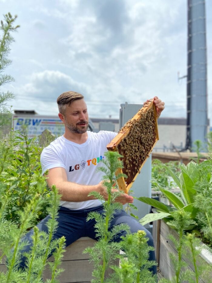 Boston-based evolutionary biologist and pollinator expert Dr. Noah Wilson-Rich