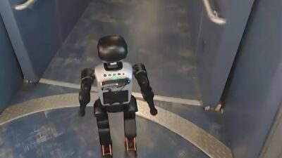 Stewie (Humanoid Robot) - screenshot
