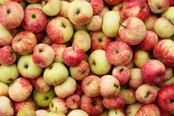 Apples and Blood Sugar: What You Need to Know Before Your Next Bite