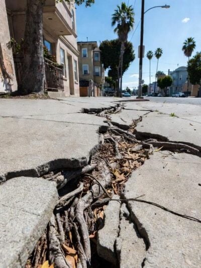 Dangerous cracked sidewalks have plagued South LA for years - via eurAI