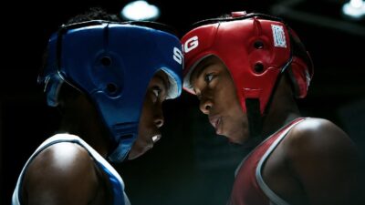 They Fight