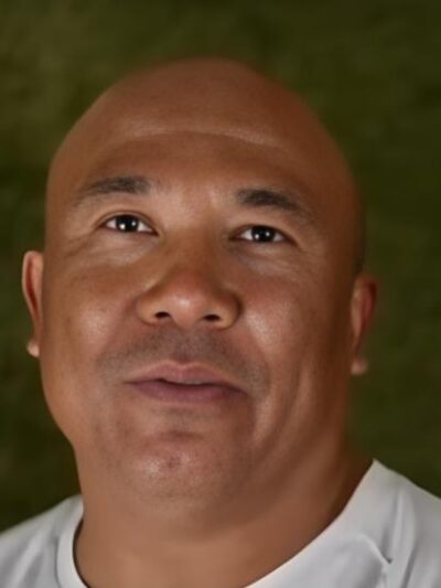 Hines Ward - screenshot