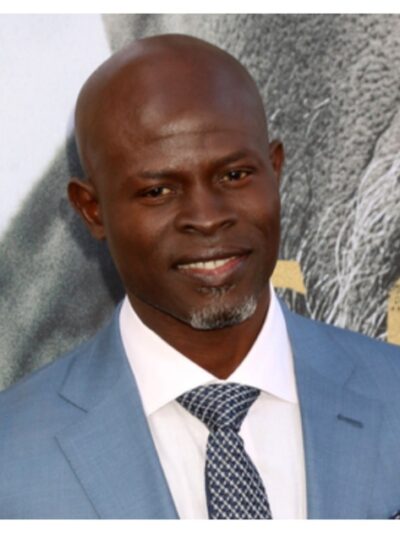 Djimon Hounsou at LA movie premiere