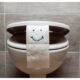 toilet bowl and toilet paper