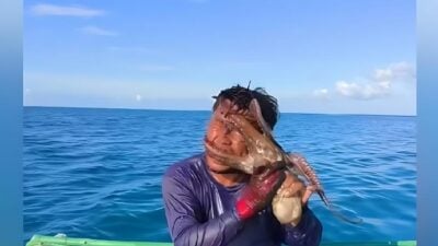 Jesser Cervantes and the octopus - screenshot