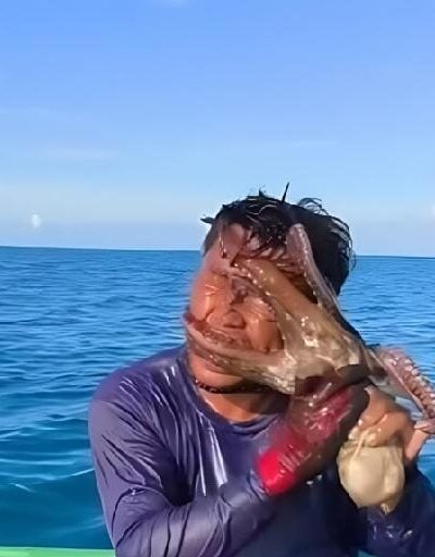 Jesser Cervantes and the octopus - screenshot