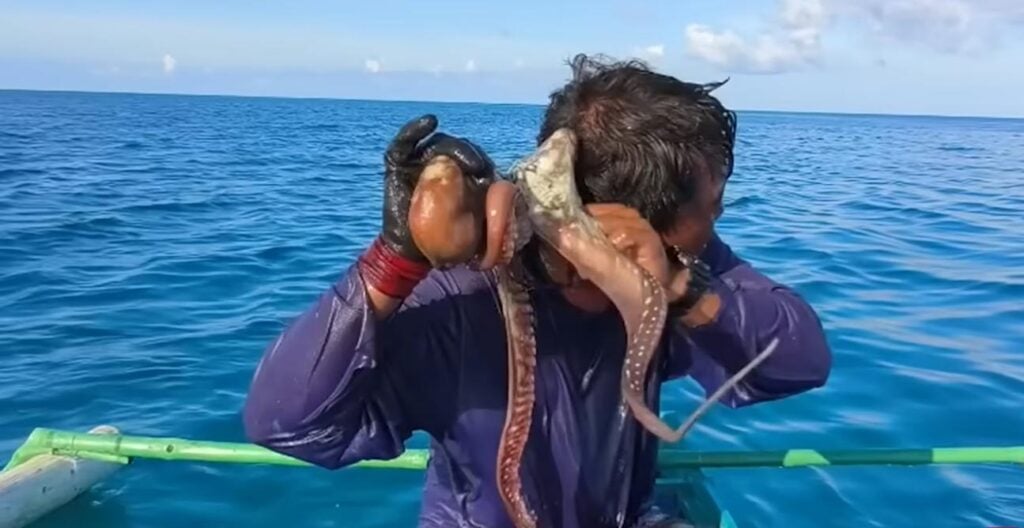 Jesser Cervantes and the octopus - screenshot