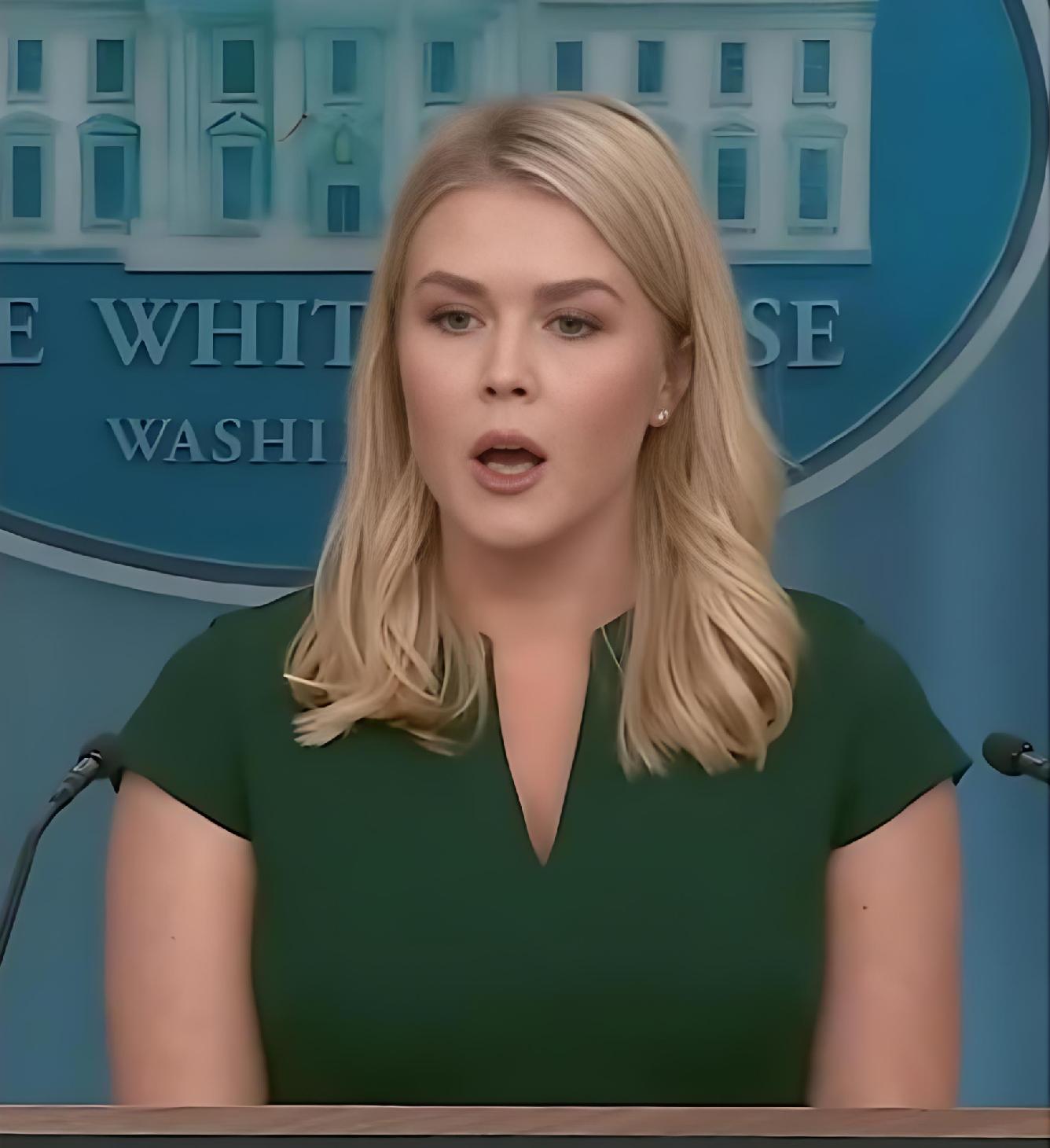 Karoline Leavitt - screenshot