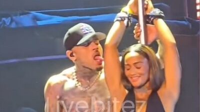 Chris Brown brought a fan on stage who previously dissed his baby mama Diamond on Social media