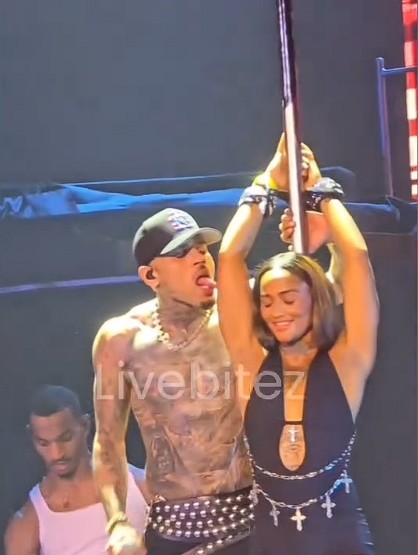 Chris Brown brought a fan on stage who previously dissed his baby mama Diamond on Social media