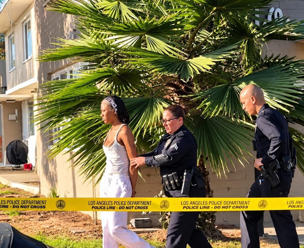 Baby Luna's 19-year-old mother detained by LAPD - via screenshot