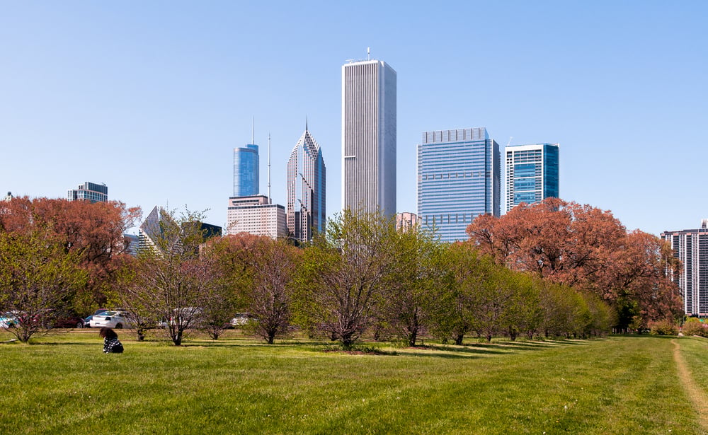 Chicago Grant Park