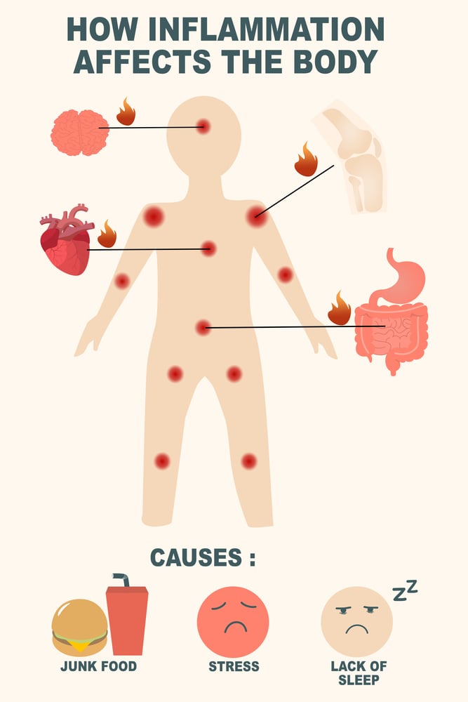Chronic Inflammation Effects on Human Body Organs