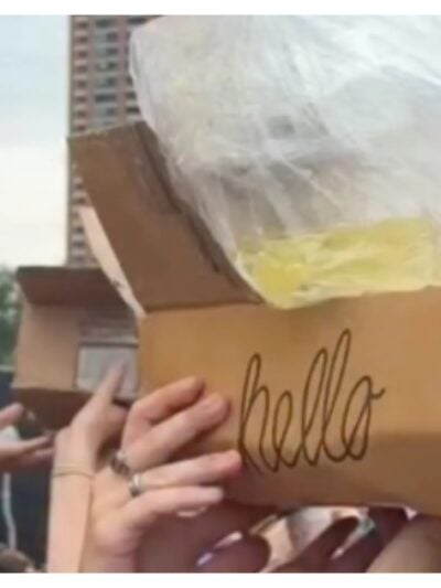 ‘Lolla-pee-looza’: Music fest