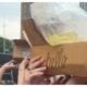 &lsquo;Lolla-pee-looza&rsquo;: Music fest