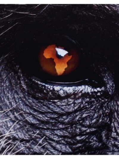 Nat Geo's 'Africa Earth's Wild Home'