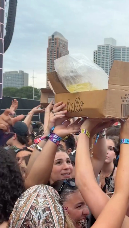 &lsquo;Lolla-pee-looza&rsquo;: Music fest