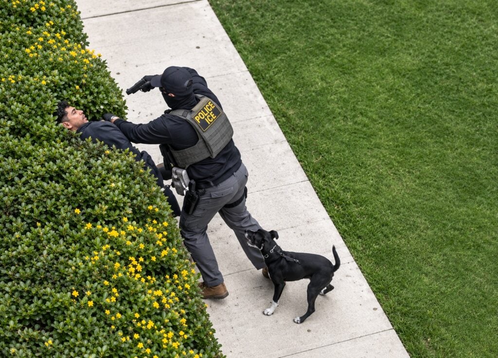 A screenshot from video shows a federal agent shoving a bystander into hedges and aiming a gun as a pedestrian&rsquo;s dog barks at the confrontation