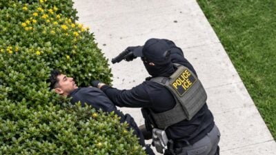 A screenshot from video shows a federal agent shoving a bystander into hedges and aiming a gun as a pedestrian&rsquo;s dog barks at the confrontation