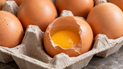 broken chicken eggs