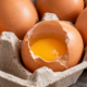 broken chicken eggs